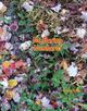 No Boring Numbers Cover
